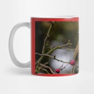 Robin Redbreast Mug